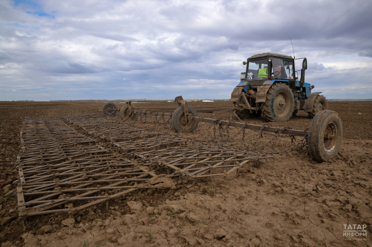 Хозяйства получат на посевную 5 млрд рублей: как в Татарстане идут весенне-полевые работы