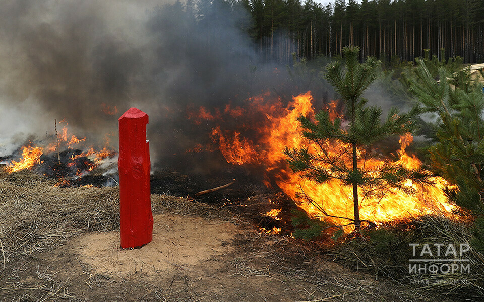 Сегодня в Татарстане начал действовать особый противопожарный режим