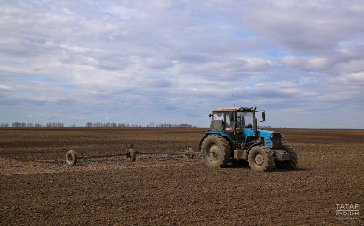 Минсельхоз Татарстана рассказал, в каких специалистах нуждаются аграрии республики