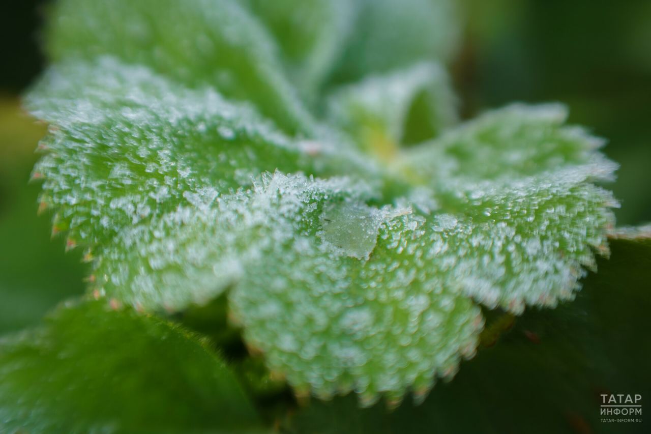 Эссе көннәрдән соң Татарстанда кабат салкынайта һәм кырау көтелә