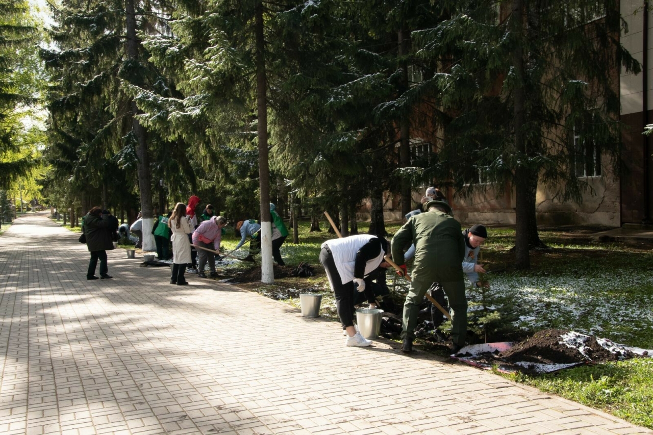 «Сад Памяти»: на аллее Героев Бугульмы высадили голубые ели