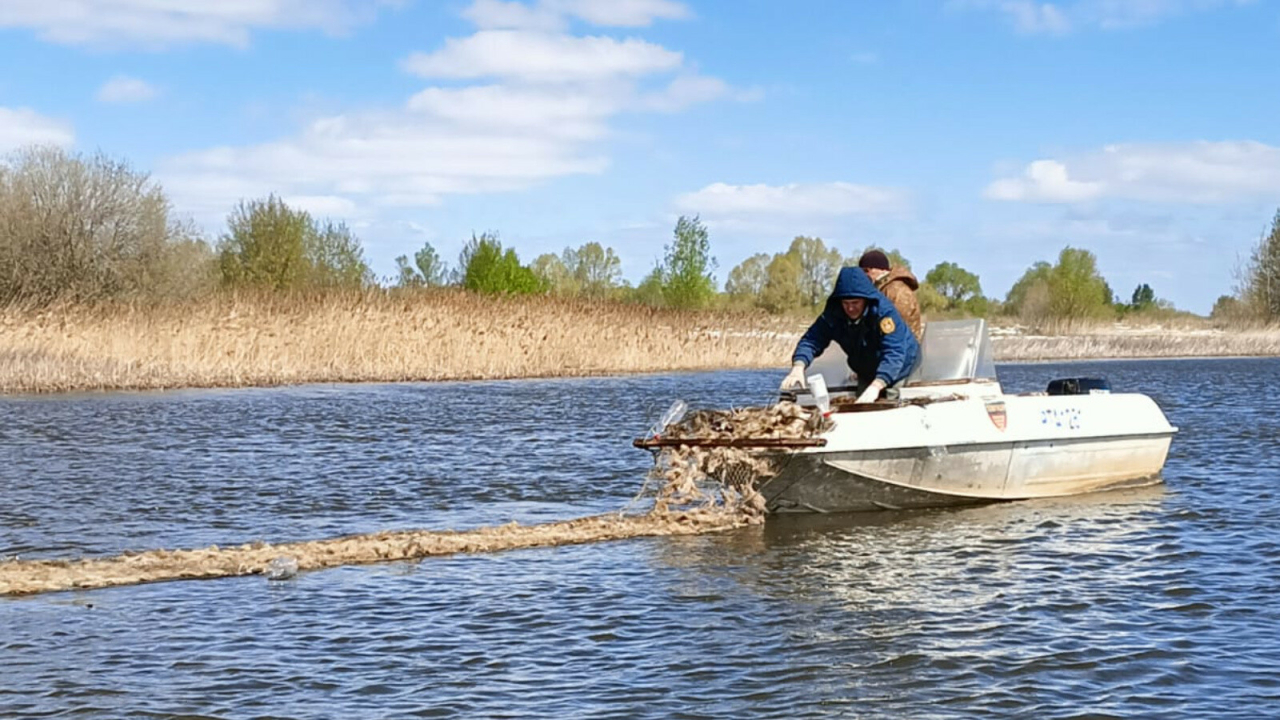В Татарстане специалисты установили на Волге 4,4 тыс. гнезд для нереста рыбы