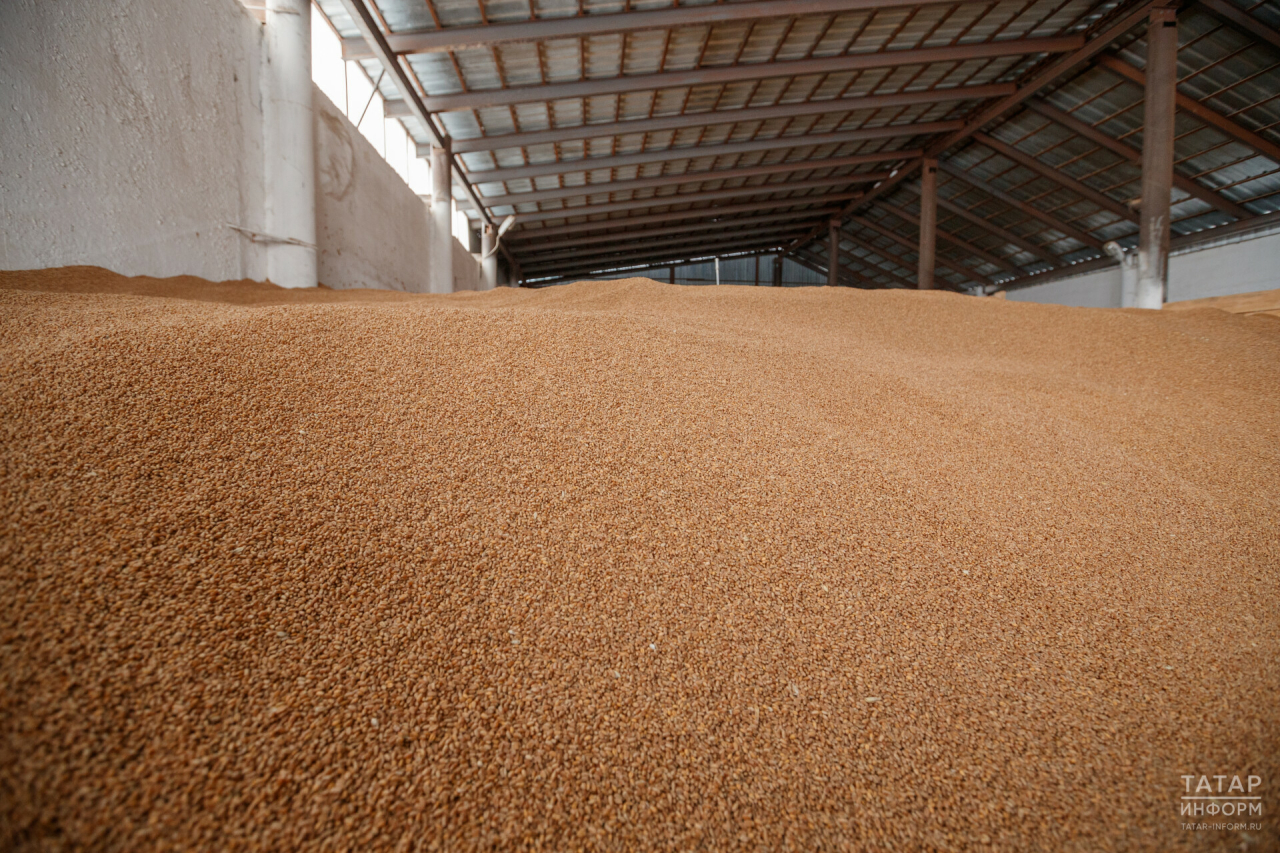 На элеваторах Татарстана имеются запасы 1,3 млн тонн зерна прошлых лет