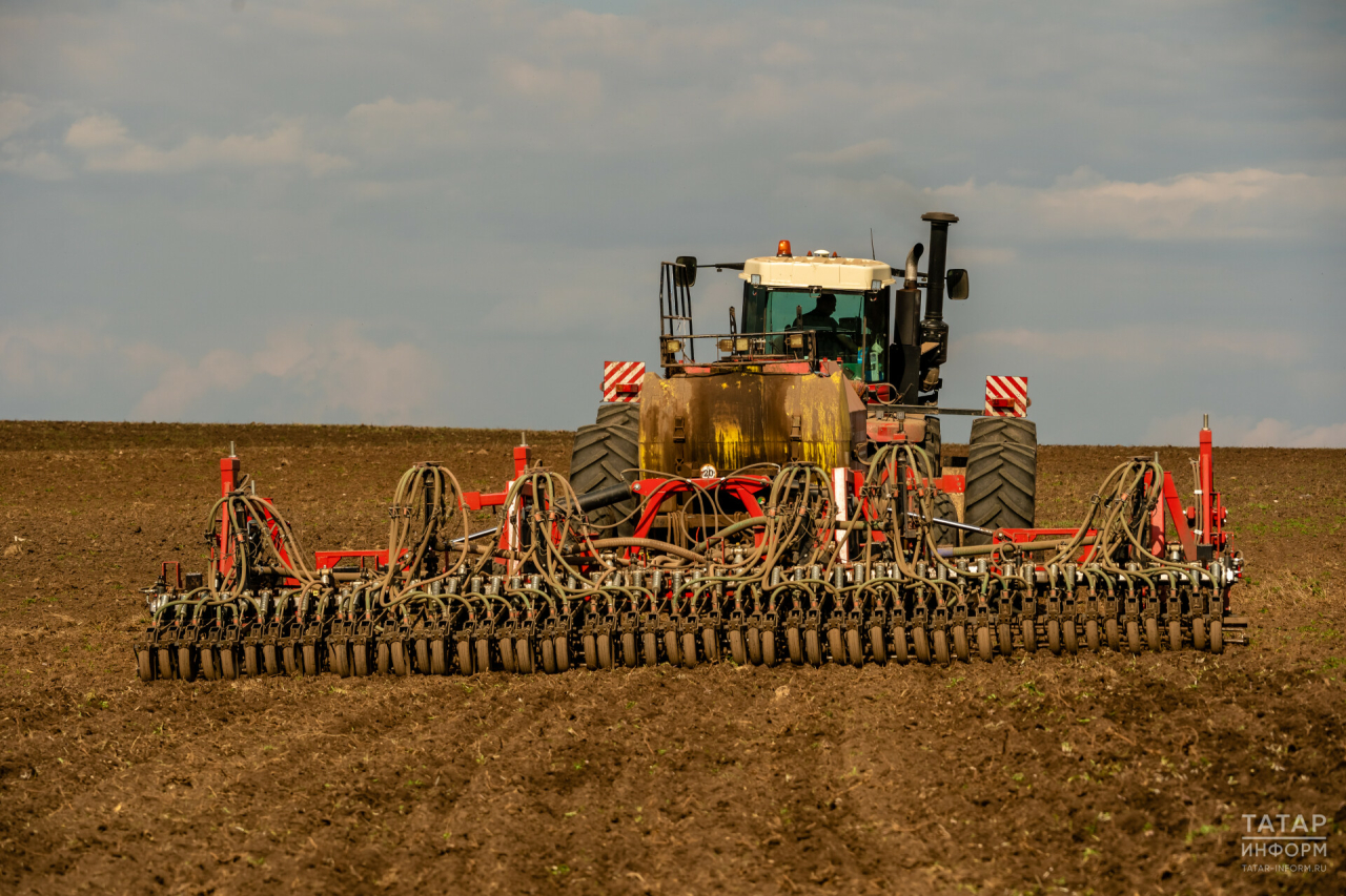 Зерновой хаб, льготное топливо и дорогие удобрения: как в Татарстане готовятся к посевной