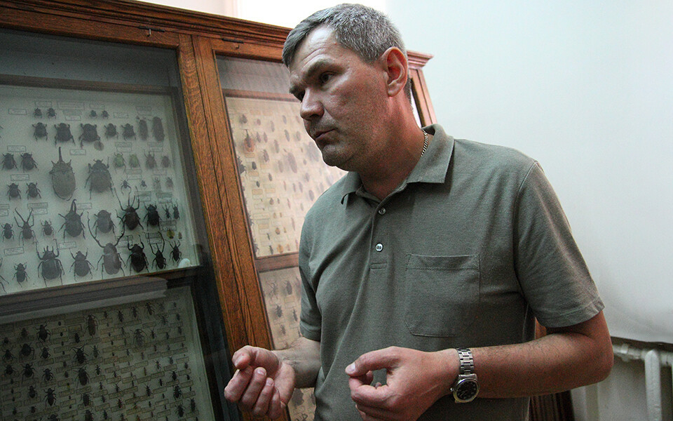 Биолог Николай Шулаев: «Что бы человек ни делал, комары и тараканы будут с ним всегда»