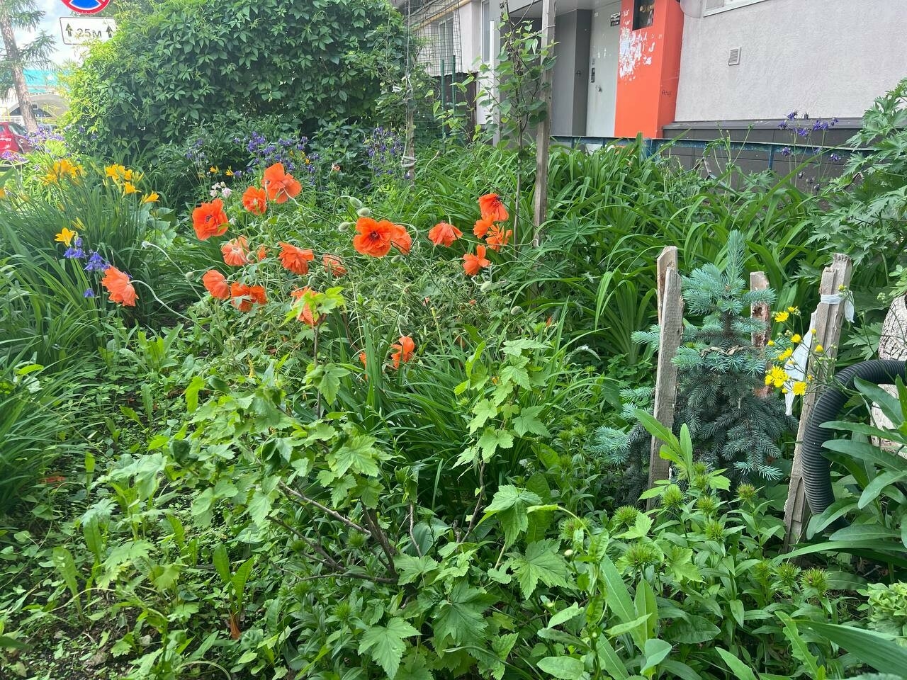 В парках и дворах Альметьевска оборудуют спецточки для полива растений