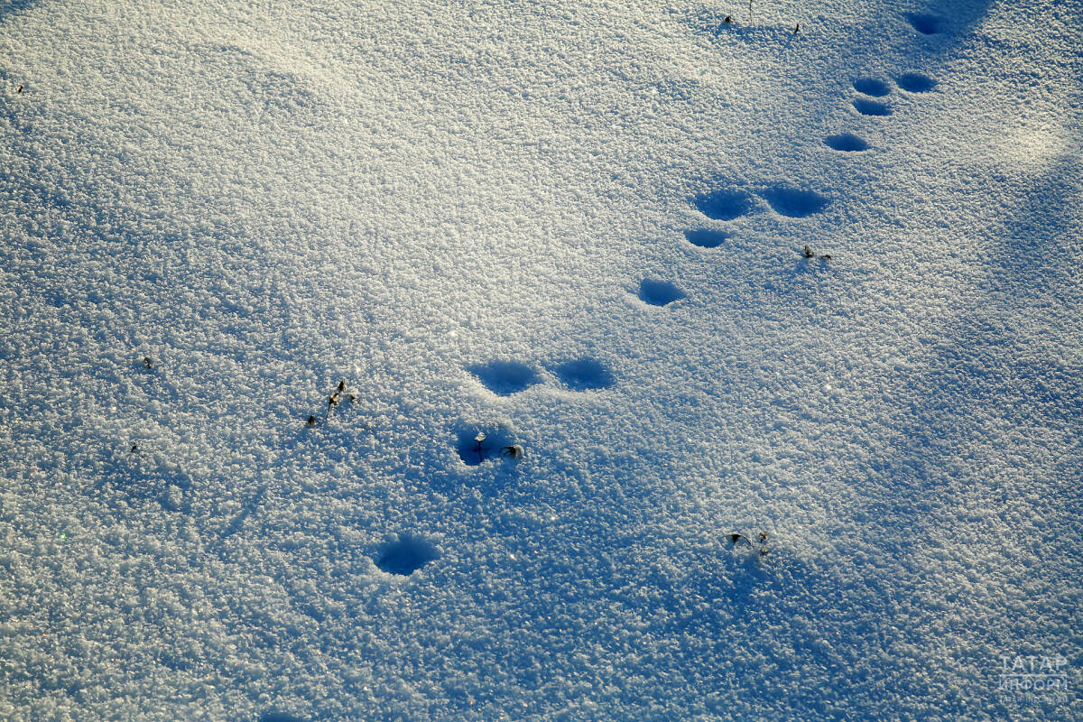 В Татарстане температура поднимется выше 0 градусов, но ожидаются небольшие осадки