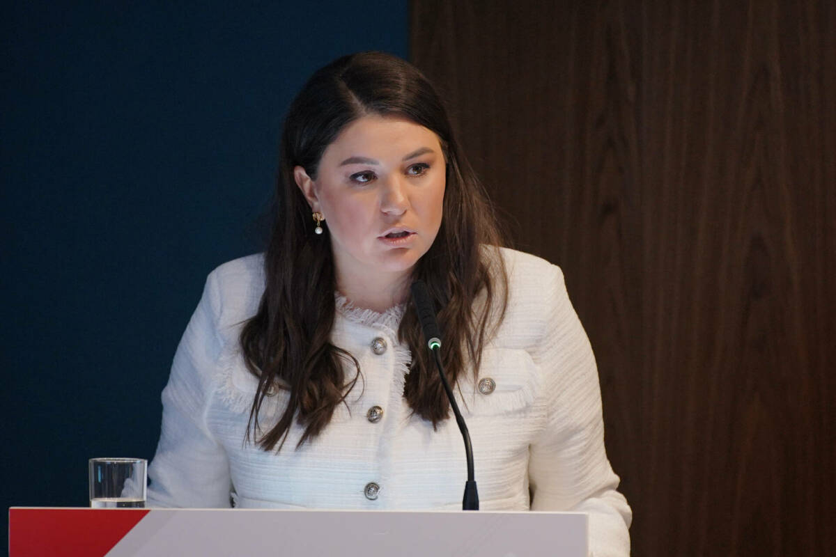 Минуллина рассказала, зачем в Казани проведут первый татарстано-индийский форум