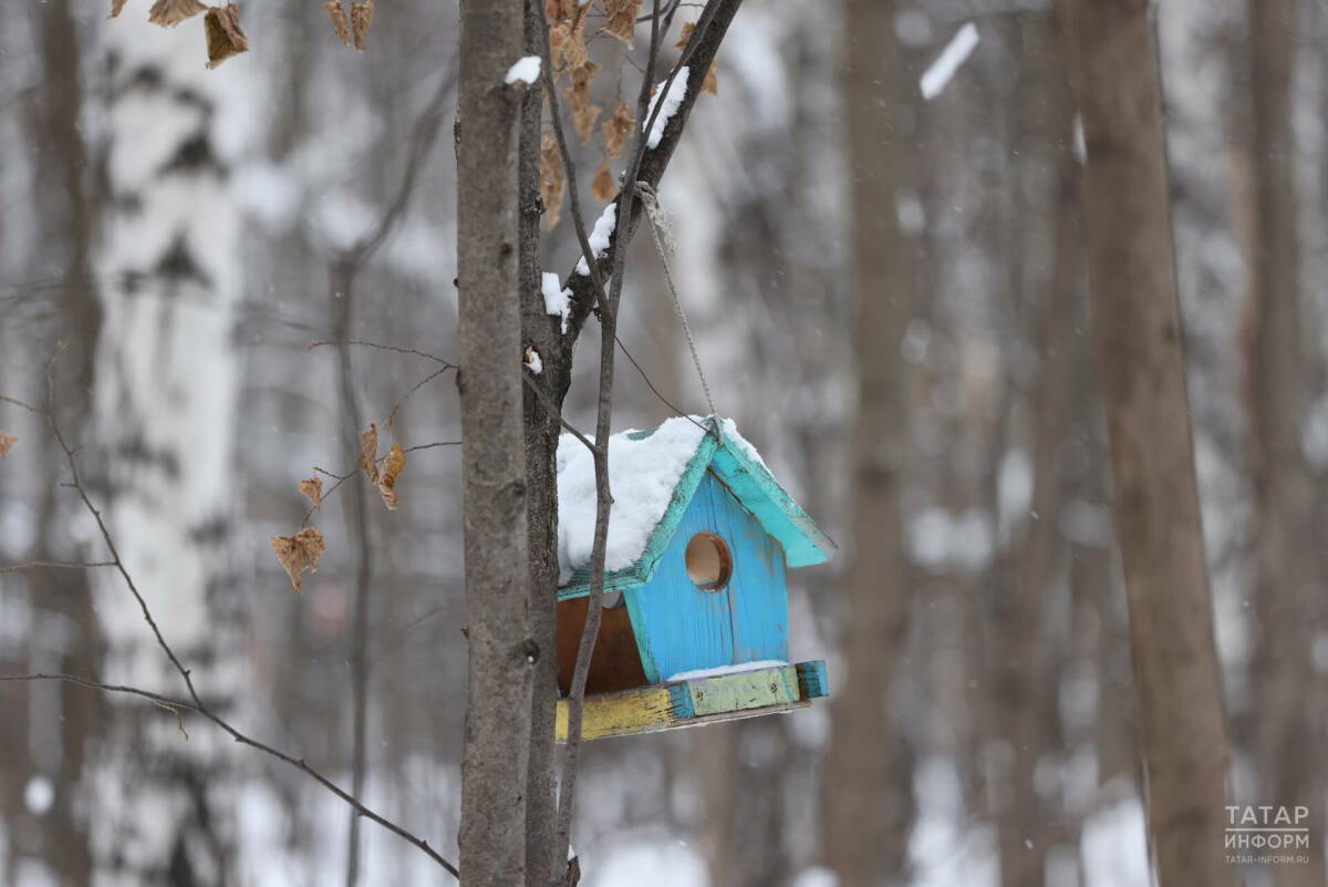 В Татарстане после морозной ночи потеплеет до 3 градусов ниже нуля