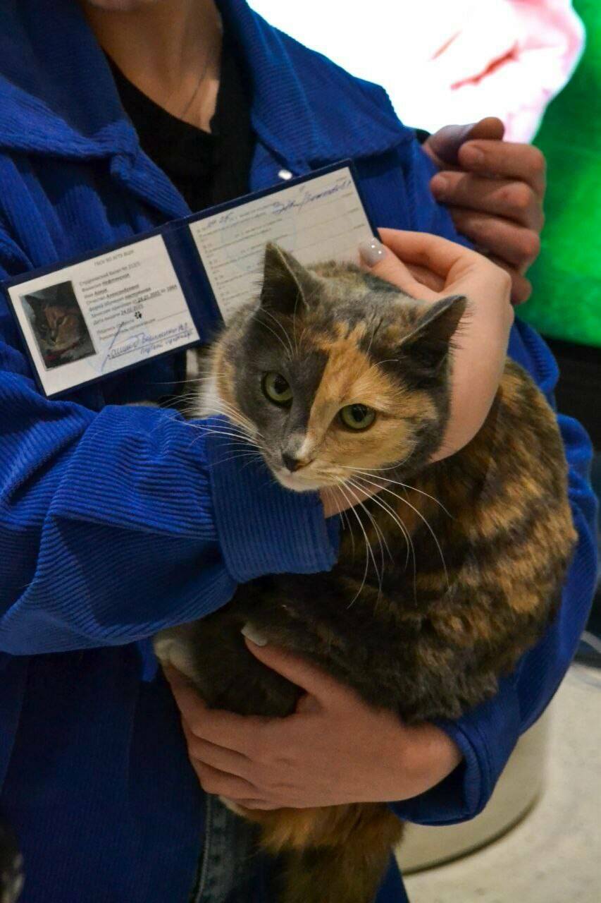 В альметьевской Высшей школе нефти вручили студенческий билет кошке