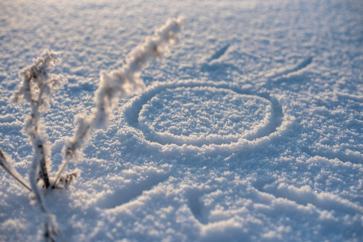 Названы города, которые обошли Казань по температурному рекорду 29 января