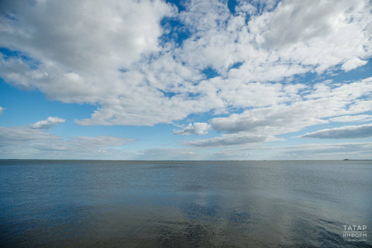 Восьмилетний британец бросил бутылку с посланием в море и получил ответ из другой страны