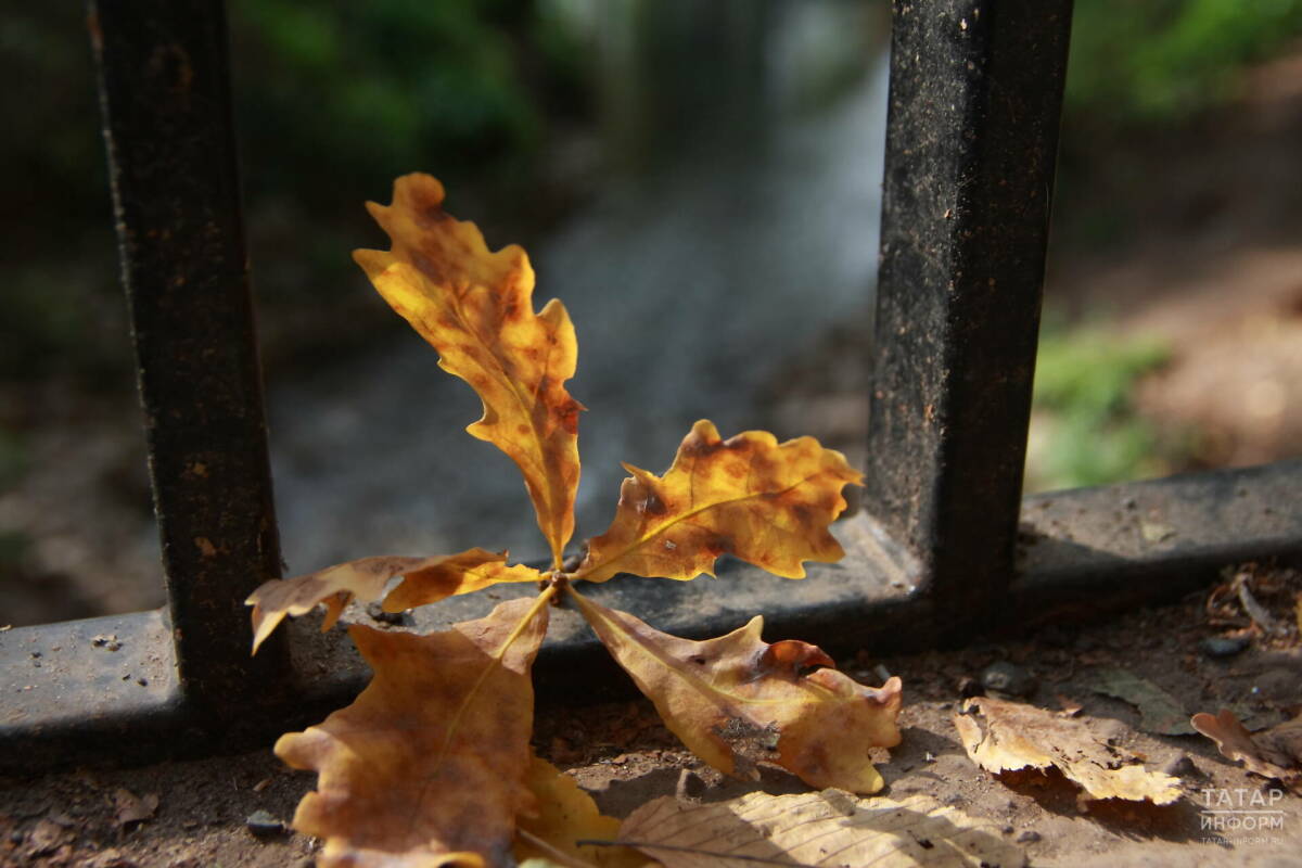 В первый день октября в Татарстане потеплеет до +16 градусов