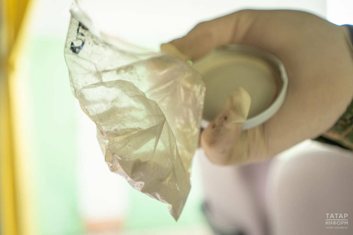 В РТ выросло число совершаемых иностранцами преступлений, связанных с наркотиками