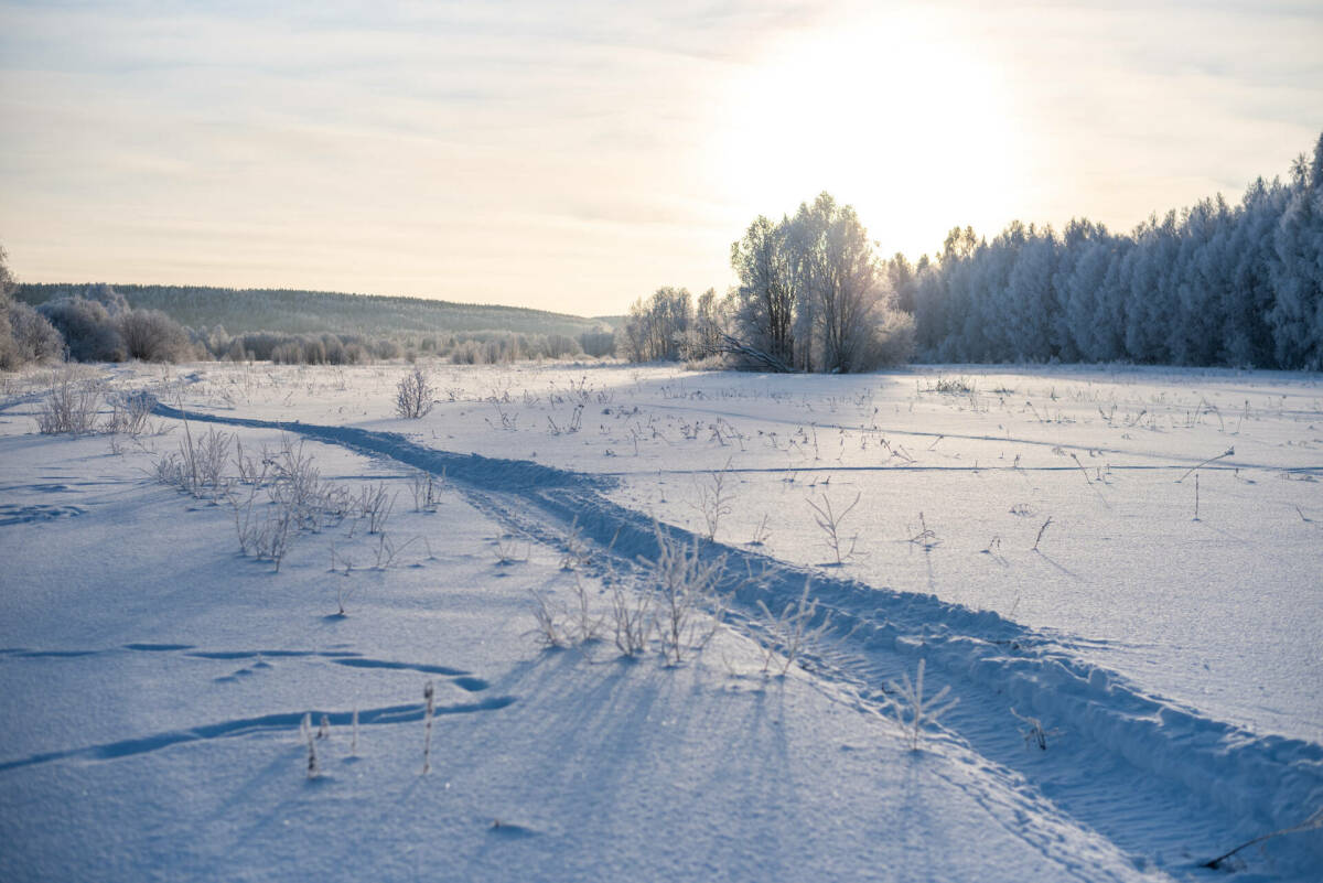 Предстоящая зима в Татарстане будет холоднее предыдущей – синоптик Ильин