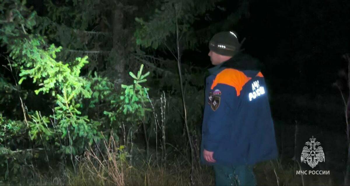 Спасатели вывели заблудившихся парня и девушку из леса в Набережных Челнах