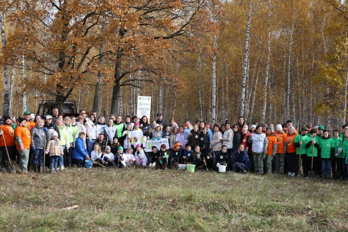 «Лес для будущих поколений»: в Бугульминском районе посадили 7 тыс. лиственниц