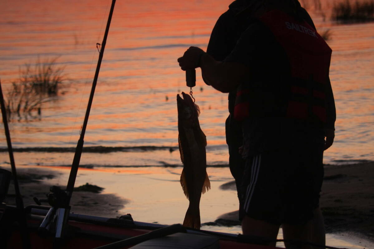 В Индии рыбак поймал 90 редких рыб, которых купили за 10 млн рупий или 8,9 млн рублей