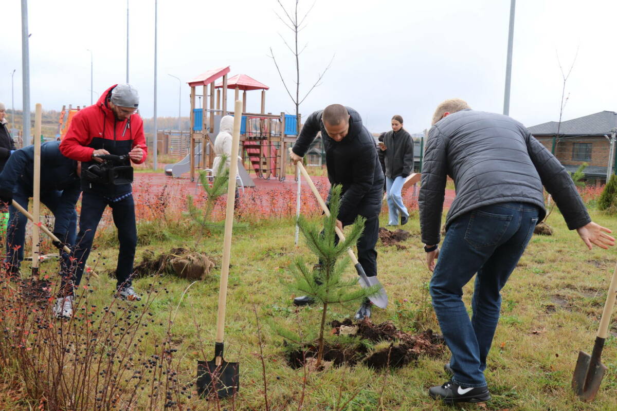 Под Казанью высадили 25 сосен в честь 25-летия мировой юстиции Татарстана