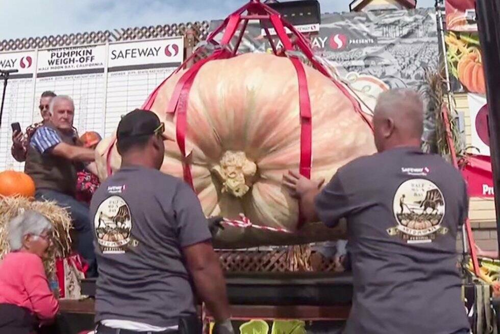 Инженер из США получил 20 тыс. долларов за тыкву весом 1 064 кг