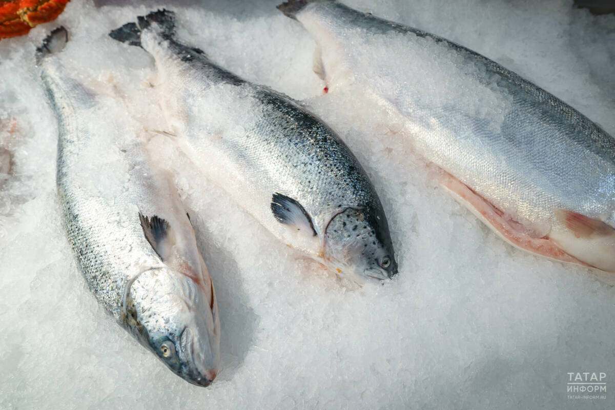 Экономист Холод: «Меньше всего в РФ подорожала речная и искусственно выращенная рыба»