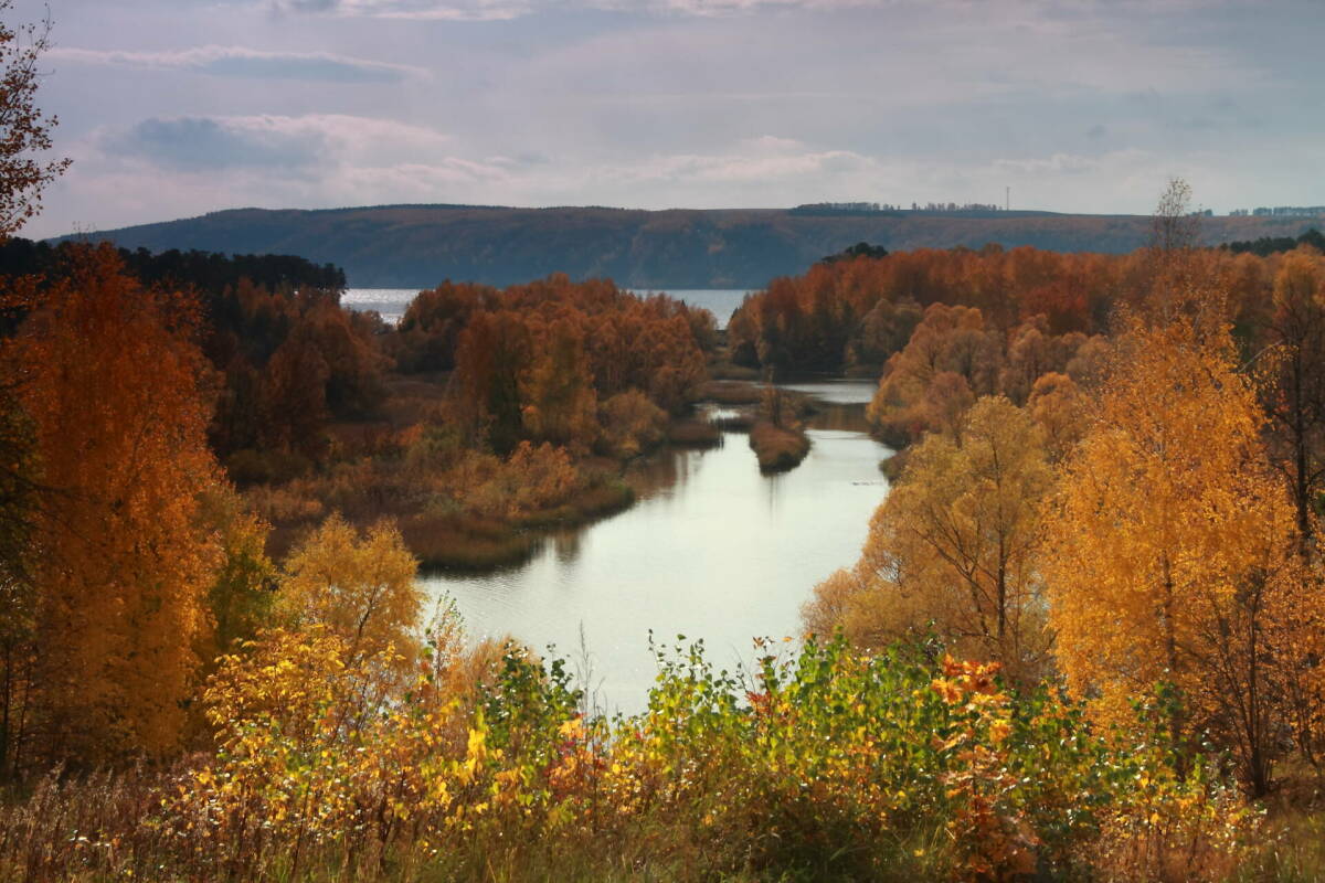 Вильфанд: Температура в европейской части РФ ближайшие десять дней будет выше нормы