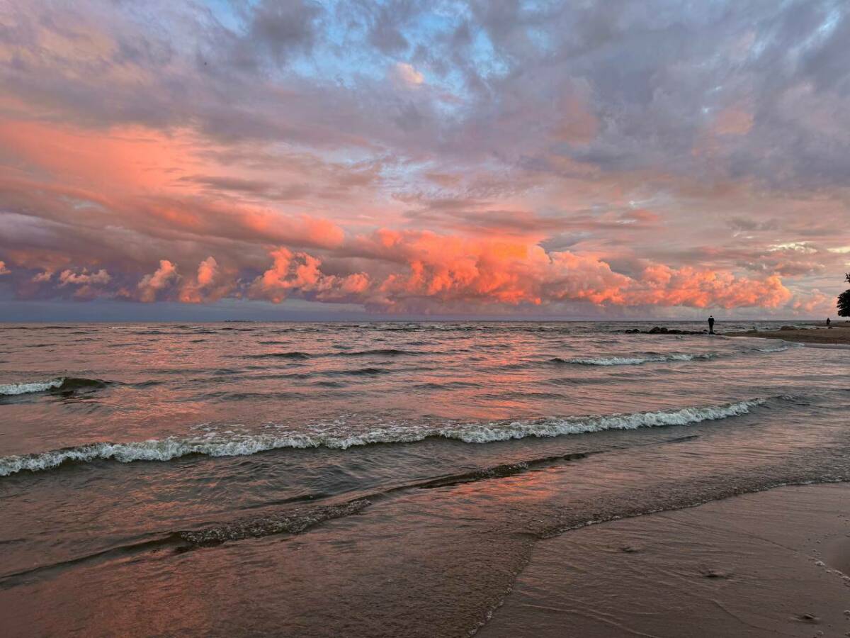 Морской воздух, целебные грязи, минеральная вода: что предлагают санатории Петербурга