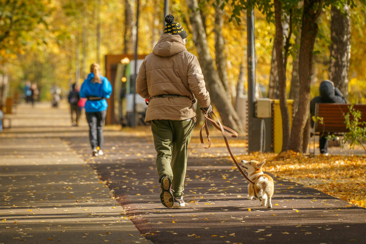 Антициклон принесет в Татарстан прохладные ночи и ясные дни