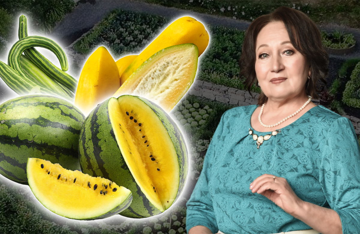 Певица Ризида Мухаметзянова: «Я сажаю все – пробую, экспериментирую, интересно же!»