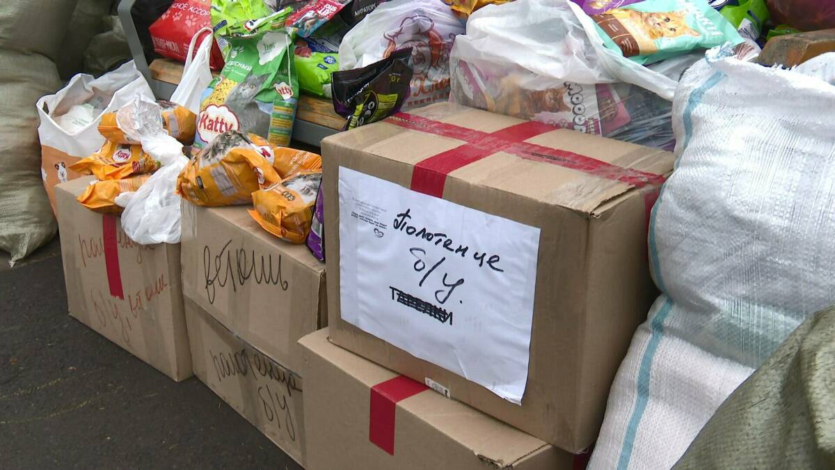 Нижнекамские «Добрые сердца» помогли приюту для бездомных животных