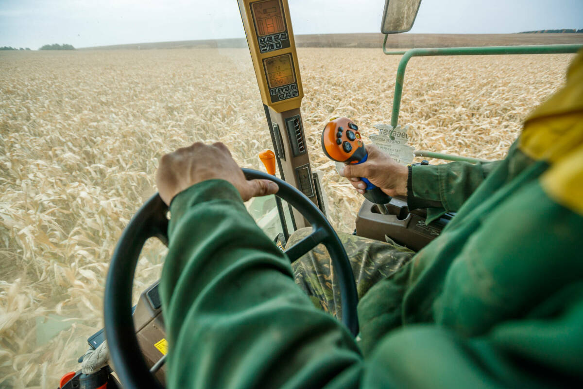 «Цены никакие»: аграрии Татарстана о снижении стоимости зерна и росте затрат