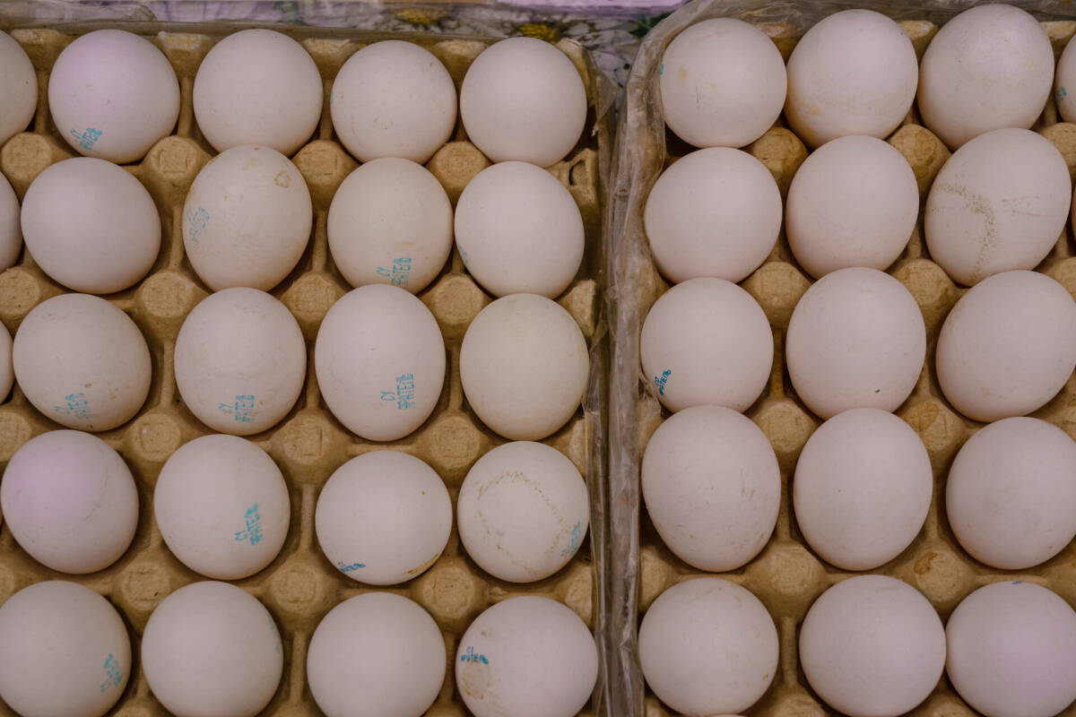 В Татарстане за неделю сильнее всего подорожали яйца и помидоры