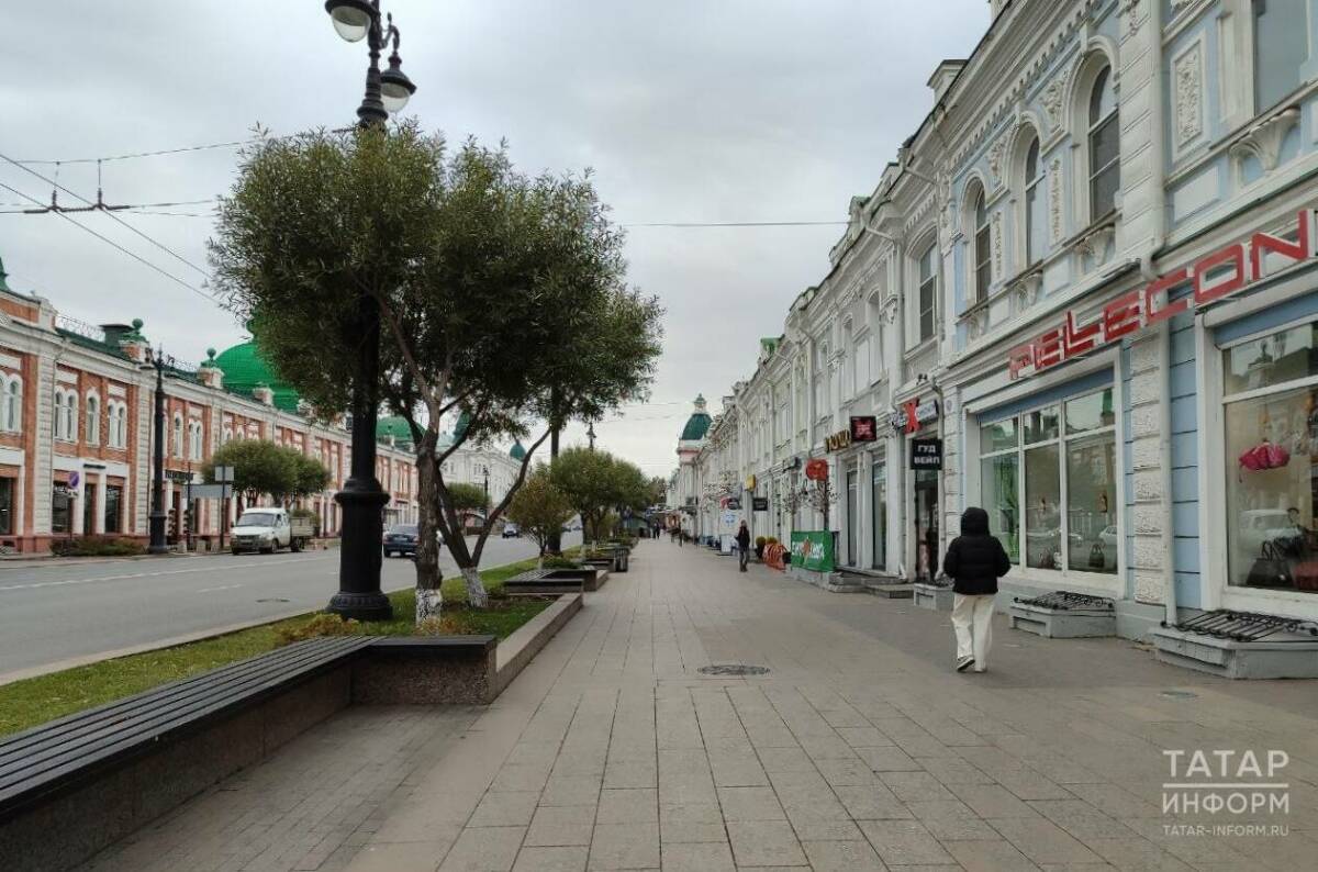 Домашняя арена «Авангарда», сибирские пельмени и розовые пеликаны: что посмотреть в Омске