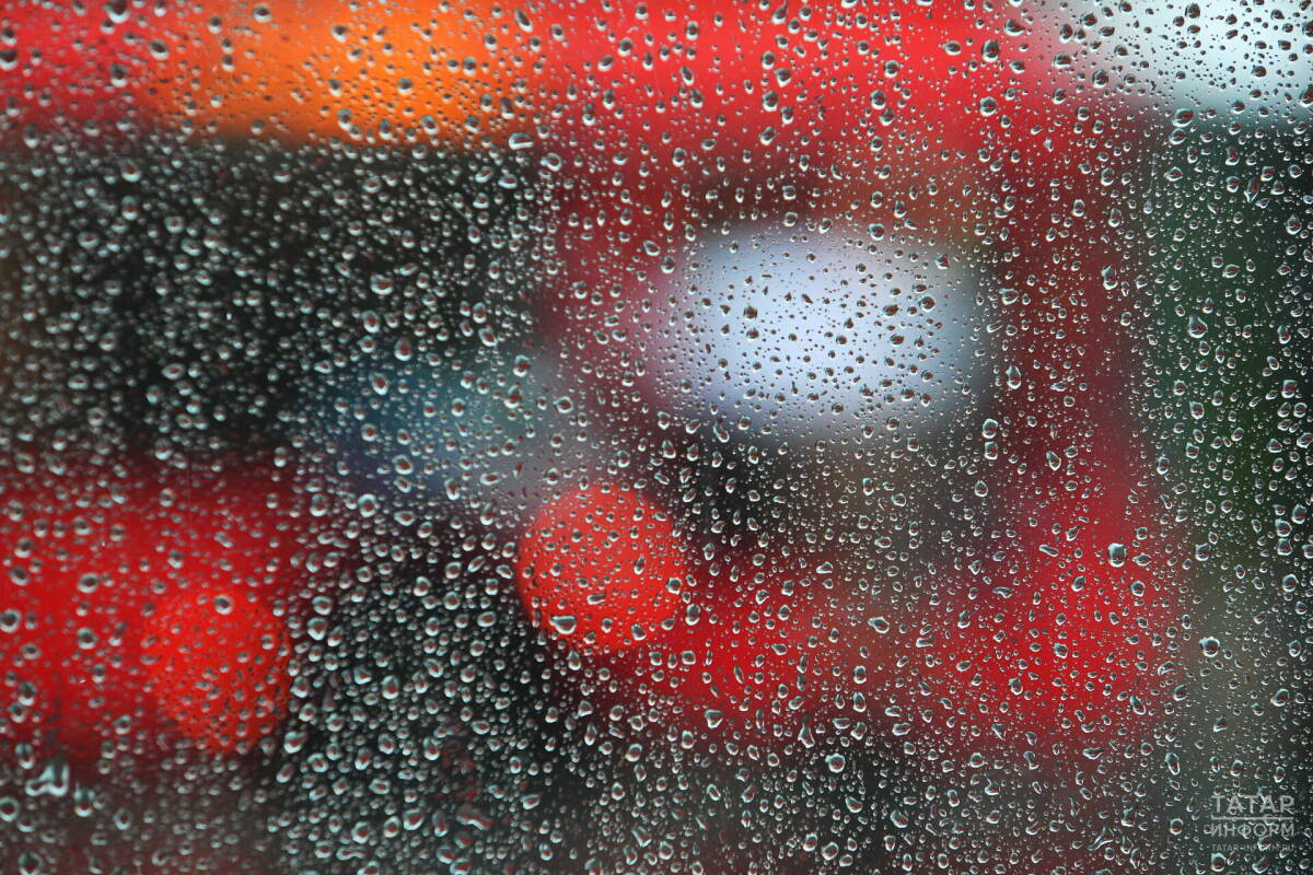 Дожди, туманы и сильный ветер прогнозируют в Татарстане до начала ноября