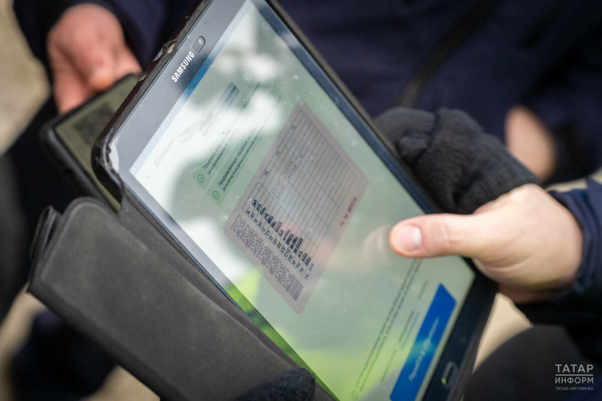 Автоюрист Славнов объяснил, когда водителя могут временно лишить права управлять ТС