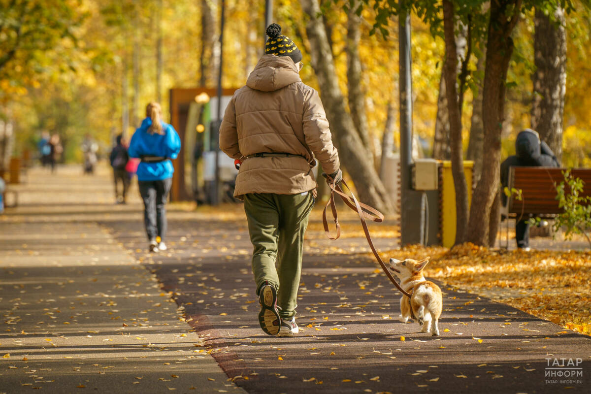 Татарстанлыларга кайбер очракларда өстәмә ял көне алу хокукы бирелә
