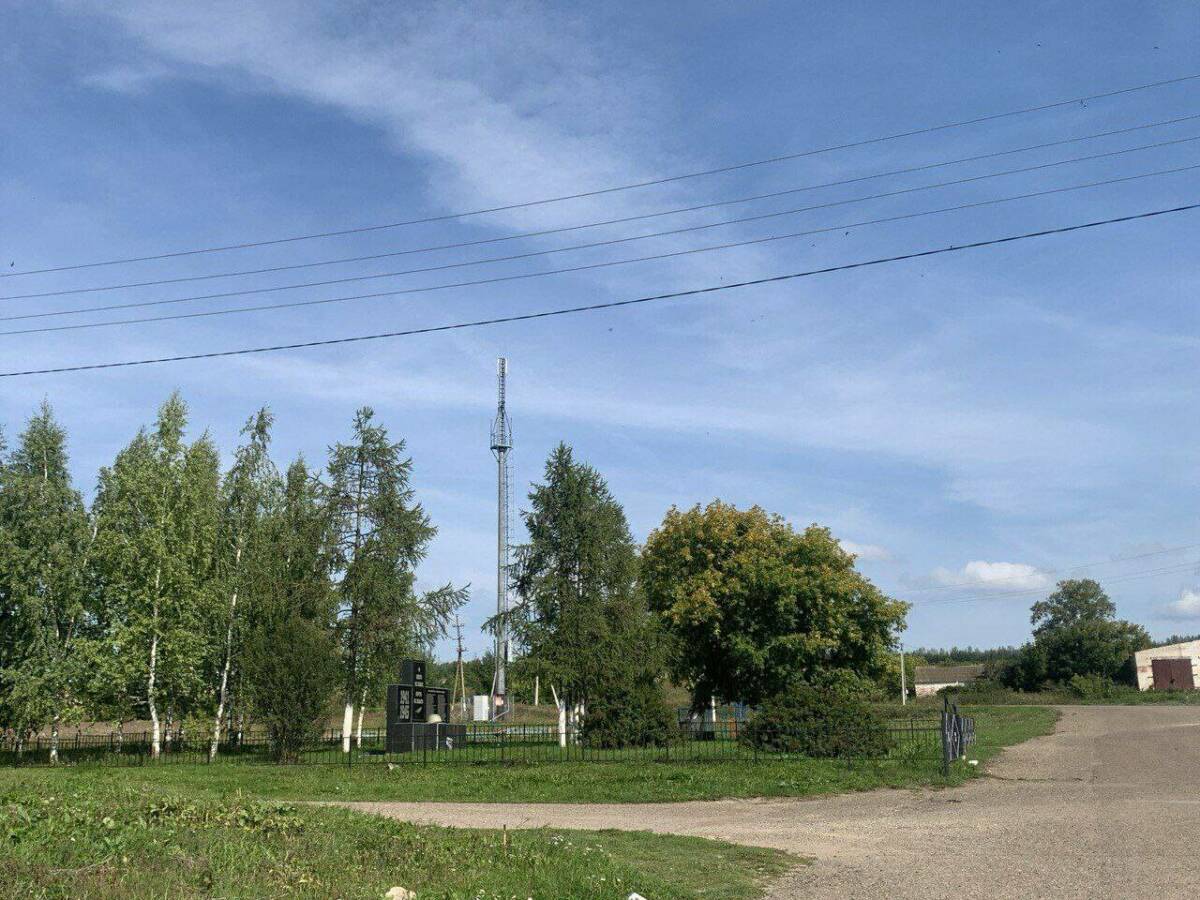 В малых населенных пунктах Татарстана за три месяца установили 53 станции мобильной связи