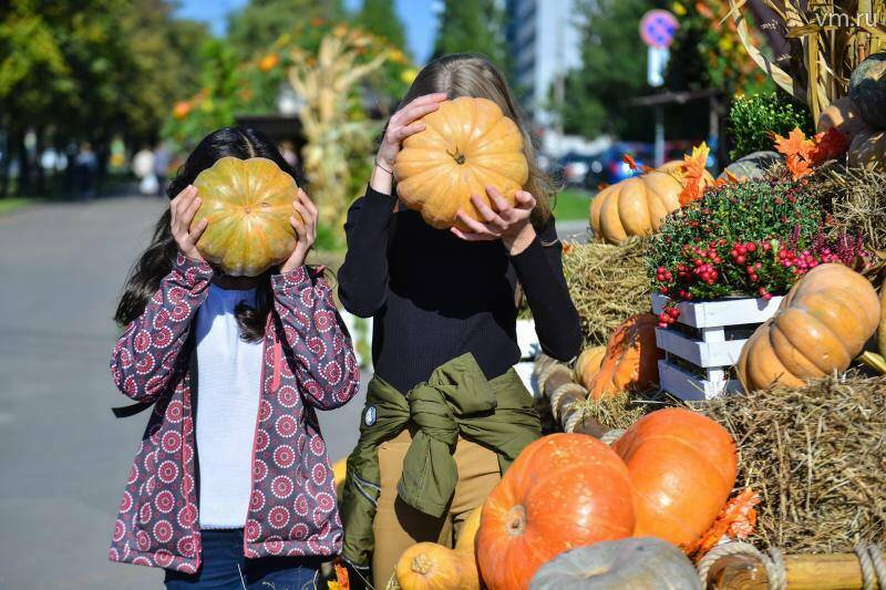 Творчество, музыка и нейрогонки: в Нижнекамске пройдет «Тыква-фест»
