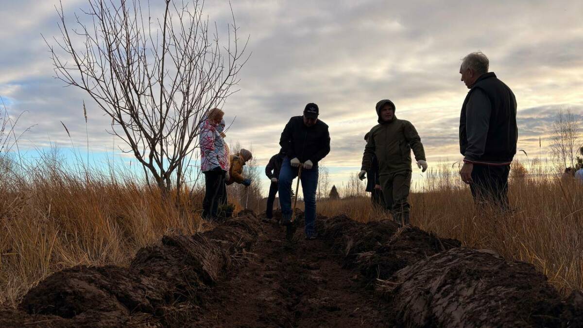«Будут радовать наших детей и внуков»: в Лаишево высадили 3 тысячи елей