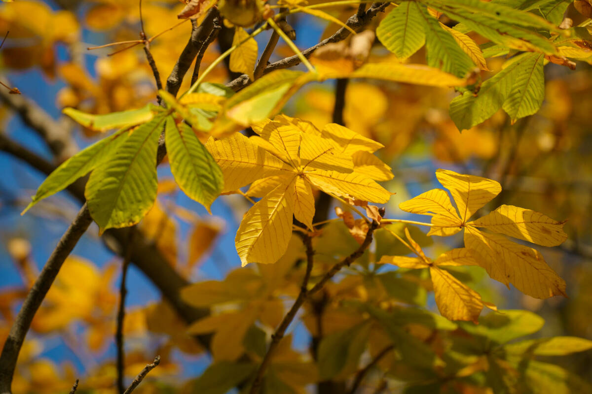 К середине недели в Татарстане прекратятся дожди и вернется солнце