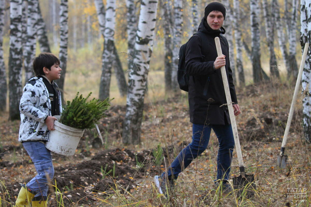 11 октября в Татарстане будет организована массовая посадка деревьев
