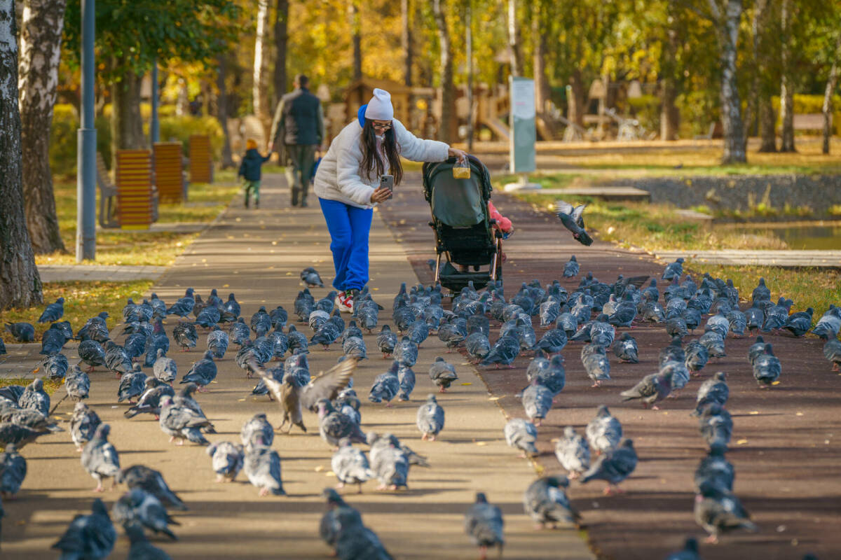Как декрет влияет на размер пенсии и трудовой стаж в Татарстане