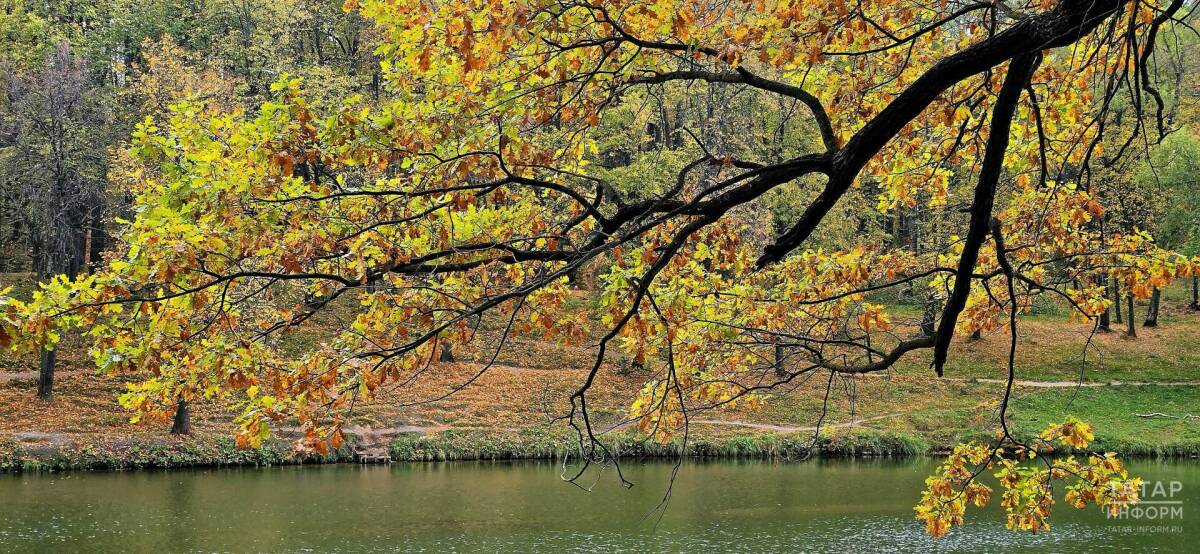 Переменная облачность и температура до +18 °C ожидаются в Татарстане 9 октября