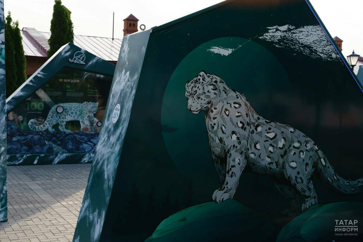 Победители творческого конкурса «Снежный барс» посетят Республику Алтай