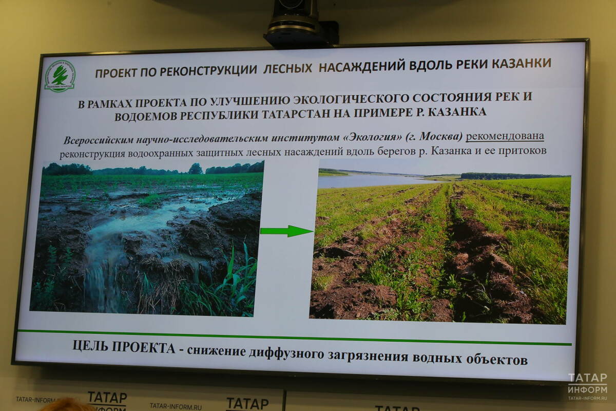 У берегов Казанки в Арском районе высадят 8 тысяч деревьев