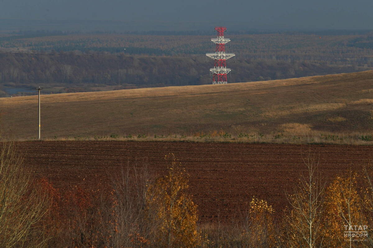 Минсельхозпрод РТ: В Татарстане посеяно 490 тыс. гектаров озимых