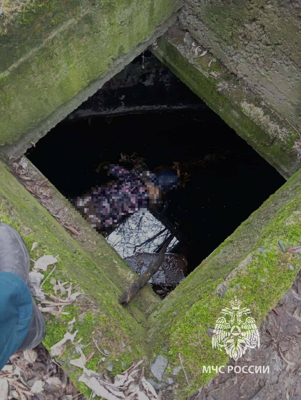 В колодце в поселке Васильево нашли тело женщины