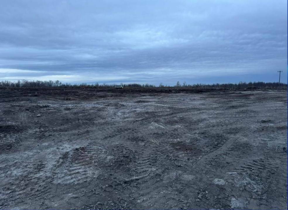 Суд закрыл свалку, привлекавшую птиц к аэропорту Бугульмы