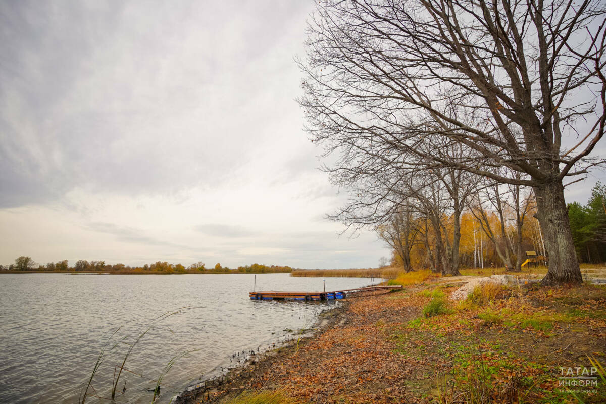 Жителей Татарстана предупредили о сильном ветре 14 ноября