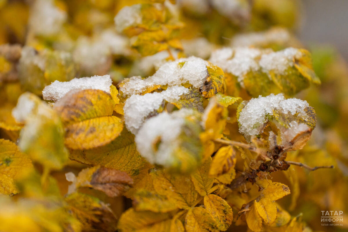 Синоптик Ильин предупредил о похолодании в Татарстане в воскресенье